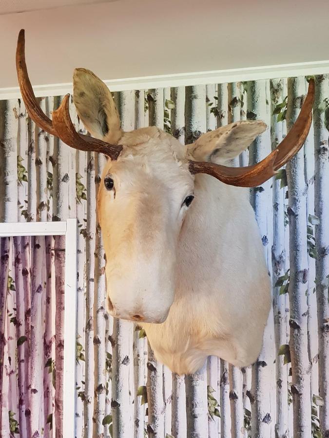Lygnareds Camping Alingsås Kültér fotó